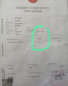 Arsa-Bağ & Bahçe