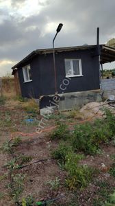 Arsa-Tarla