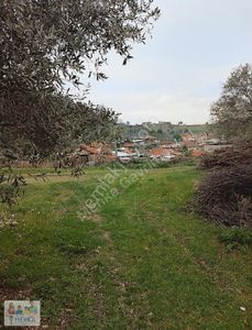 Arsa-Bağ & Bahçe
