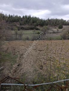 Arsa-Tarla