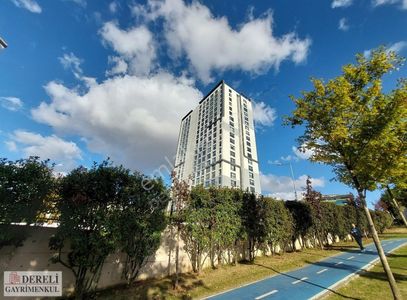 İşyeri-Ofis