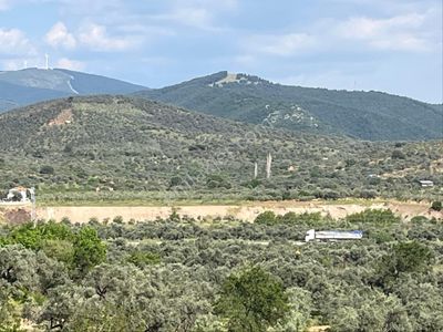 Arsa-Bağ & Bahçe