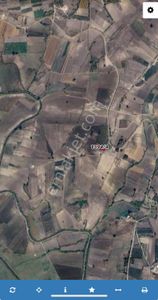 Arsa-Tarla