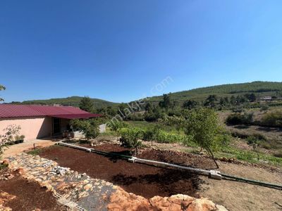 Arsa-Tarla