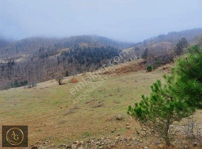 Arsa-Tarla