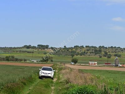Arsa-Tarla