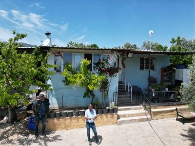 Arsa-Bağ & Bahçe