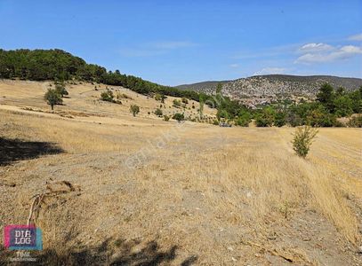 Arsa-Tarla