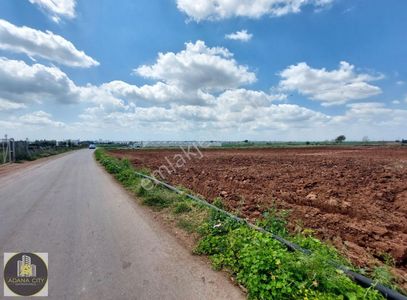 Arsa-Tarla
