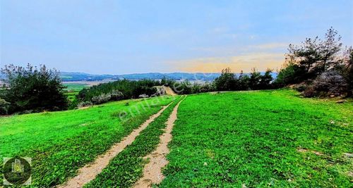 Arsa-Tarla