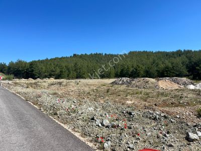 Arsa-Tarla