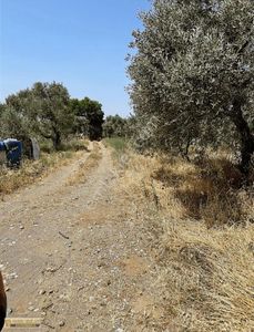 Arsa-Bağ & Bahçe