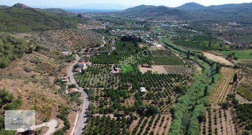Arsa-Villa İmarlı