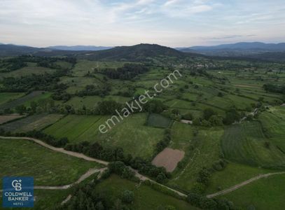 Arsa-Tarla