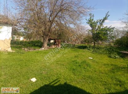 Arsa-Konut İmarlı