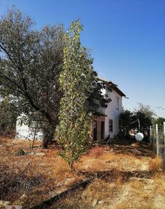 Arsa-Bağ & Bahçe