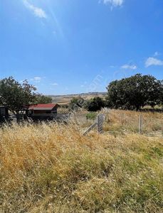 Arsa-Tarla