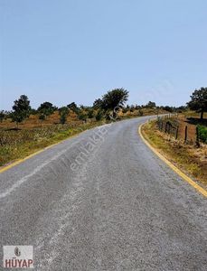 Arsa-Tarla