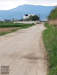 Arsa-Tarla
