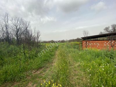 Arsa-Tarla