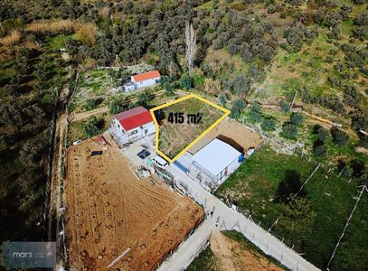 Arsa-Zeytinlik