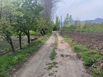 Arsa-Tarla