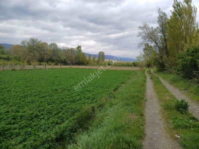 Arsa-Tarla