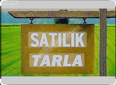 Arsa-Tarla