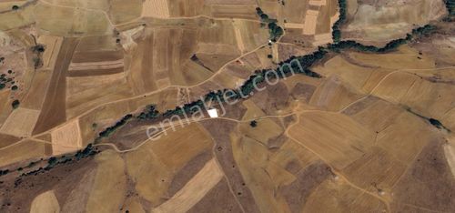 Arsa-Tarla