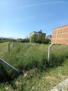 Arsa-Bağ & Bahçe