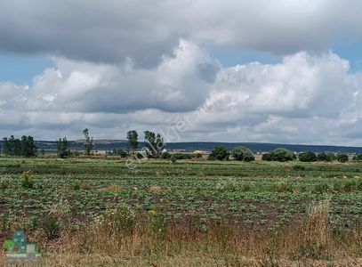 Arsa-Tarla