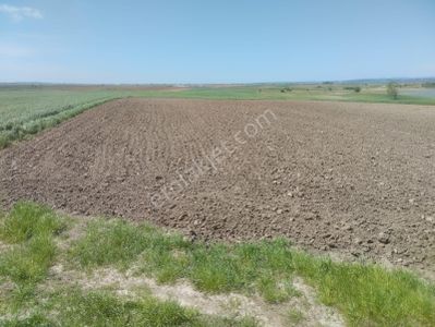 Arsa-Tarla