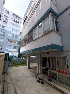 İşyeri-Dükkan & Mağaza