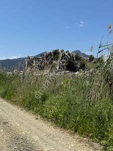 Arsa-Tarla