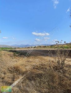 Arsa-Tarla