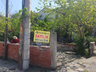 Konut-Daire