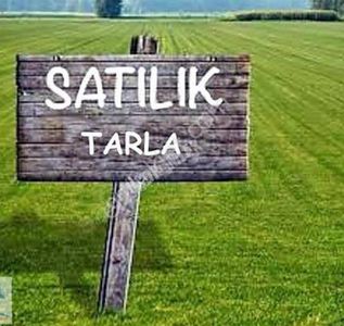 Arsa-Tarla