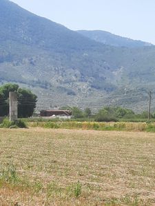 Arsa-Tarla