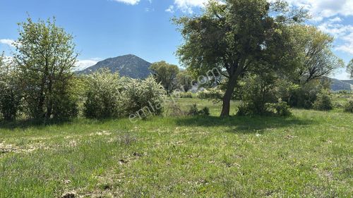 Arsa-Tarla