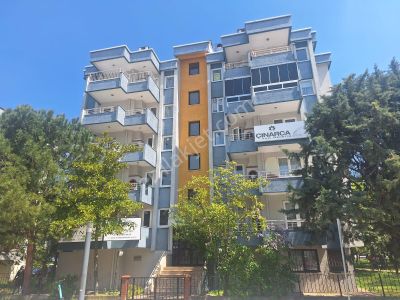 İşyeri-Apartman Dairesi