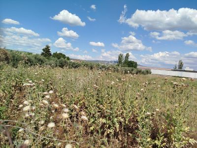 Arsa-Konut İmarlı