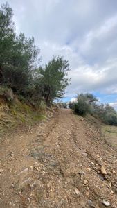 Arsa-Tarla