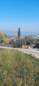 Arsa-Konut İmarlı