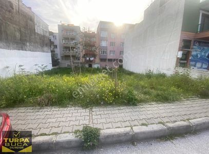 Arsa-Konut İmarlı
