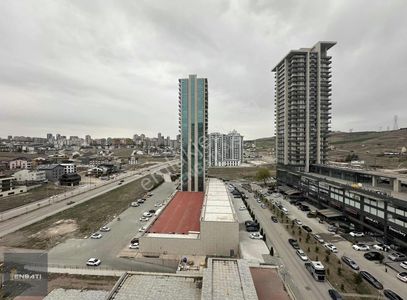 İşyeri-Dükkan & Mağaza