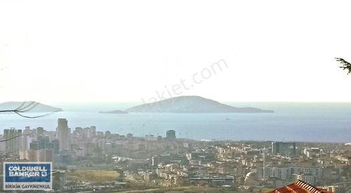 Arsa-Konut İmarlı