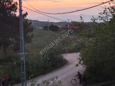 Arsa-Bağ & Bahçe