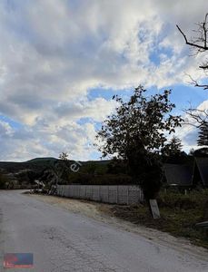 Arsa-Bağ & Bahçe