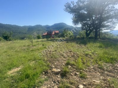 Arsa-Tarla
