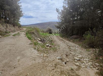 Arsa-Tarla